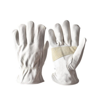 pare de gants en cuir blanc sur fond blanc